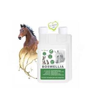 Dromy Boswellia liquid