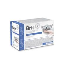 Brit VD Cat Pouch fillets in Gravy Recovery